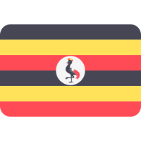Como comprar CONFLUX NETWORK en Uganda