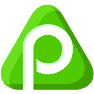 Logo PayPeer