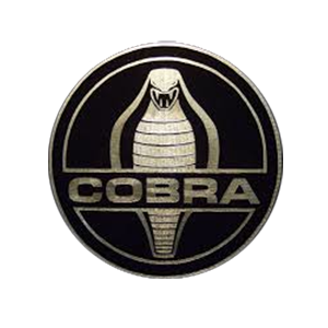 Logo CobraCoin
