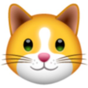Logo KittenFinance