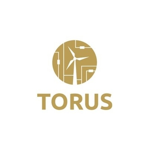 Comprar TORUS Token