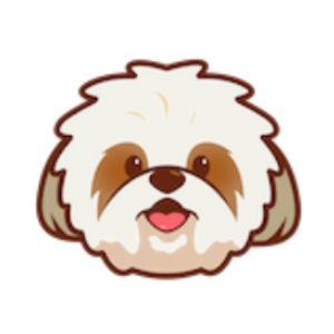 Precio Shih Tzu