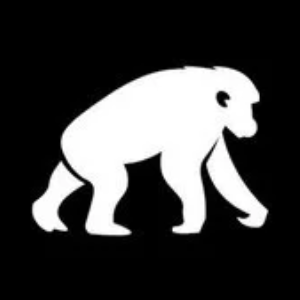 Logo BlackPool Token