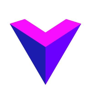 Logo Voxel X Network