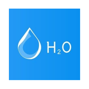 Como comprar H2O DAO