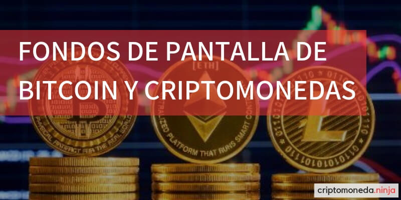 » Los MEJORES fondos de pantalla de BITCOIN y CRIPTOMONEDAS